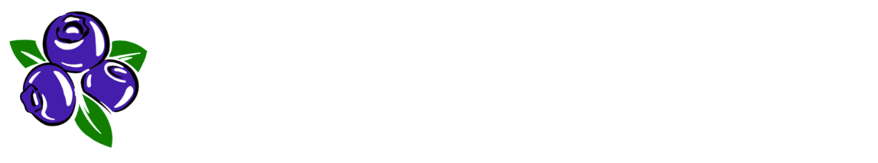 Sběr borůvek Vy&scaron;ehněvice